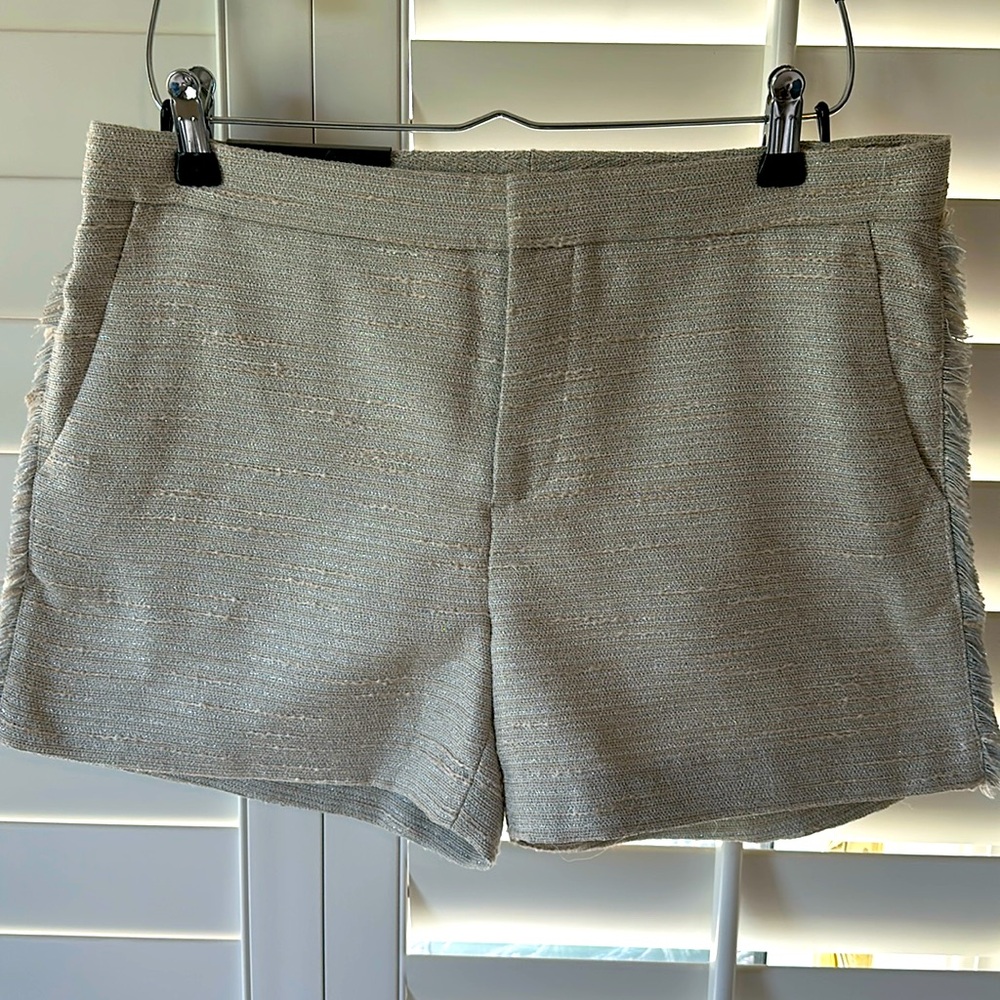 Banana Republic 5” Ryan Short